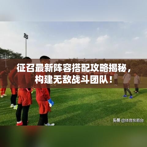 征召最新阵容搭配攻略揭秘，构建无敌战斗团队！