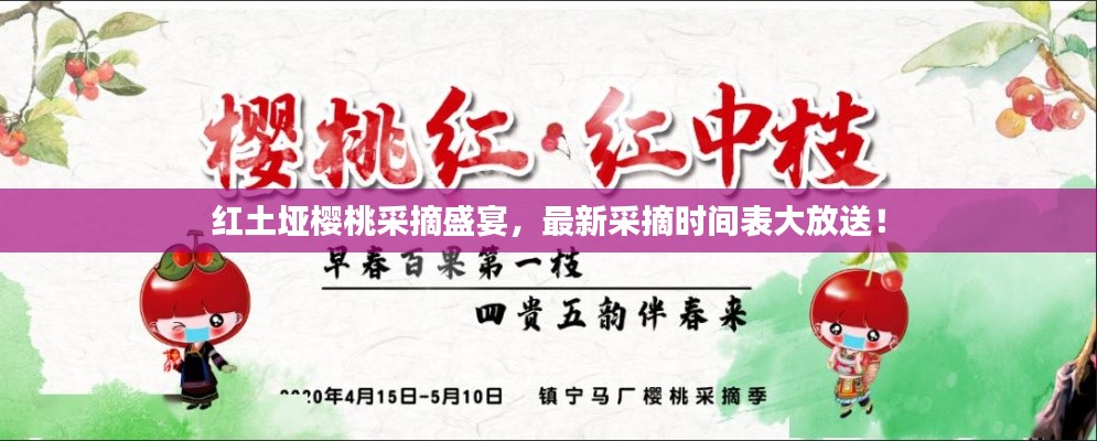 红土垭樱桃采摘盛宴，最新采摘时间表大放送！