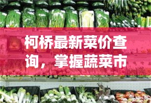 柯桥最新菜价查询，掌握蔬菜市场动态，洞悉当地行情！
