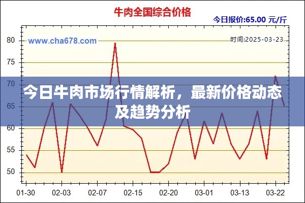 今日牛肉市场行情解析，最新价格动态及趋势分析