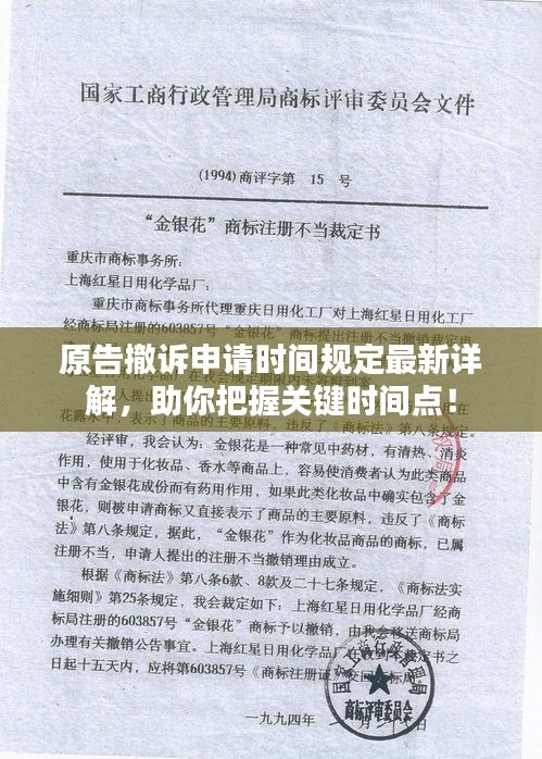 原告撤诉申请时间规定最新详解，助你把握关键时间点！