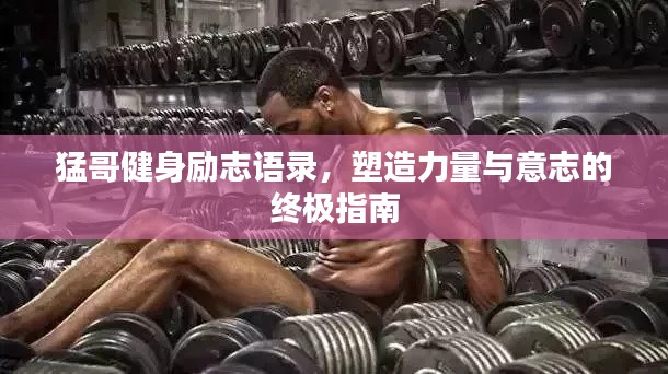 猛哥健身励志语录，塑造力量与意志的终极指南