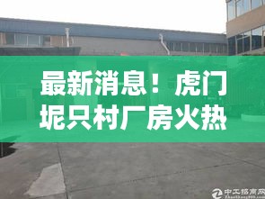 最新消息！虎门坭只村厂房火热出售中！