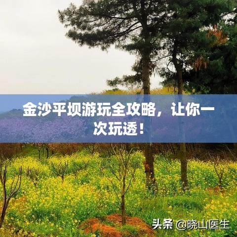 金沙平坝游玩全攻略，让你一次玩透！