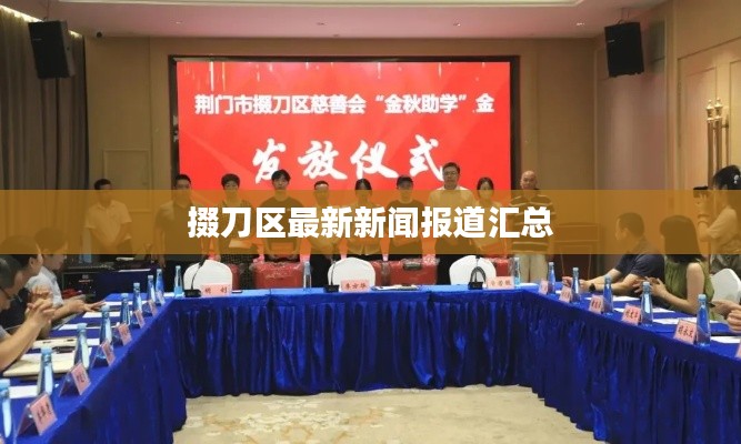 掇刀区最新新闻报道汇总