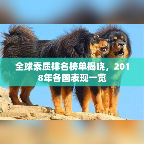 全球素质排名榜单揭晓，2018年各国表现一览