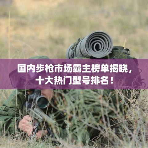 国内步枪市场霸主榜单揭晓，十大热门型号排名！