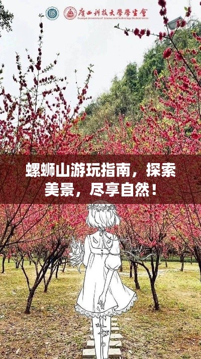 螺蛳山游玩指南，探索美景，尽享自然！