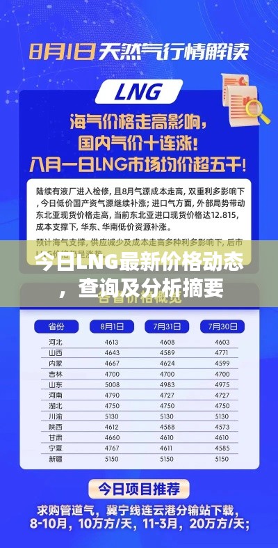 今日LNG最新价格动态，查询及分析摘要