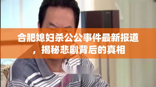 合肥媳妇杀公公事件最新报道，揭秘悲剧背后的真相