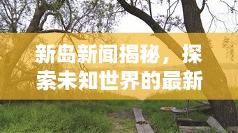 新岛新闻揭秘，探索未知世界的最新动态