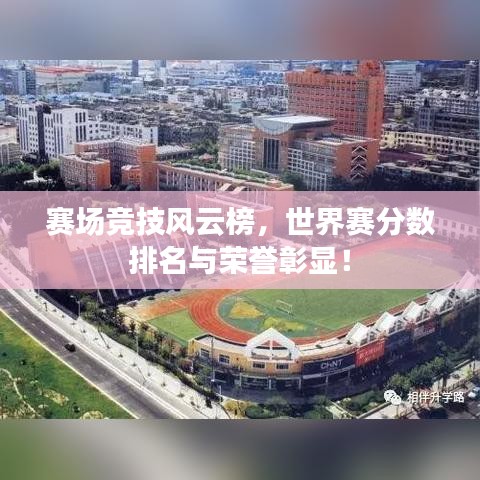 赛场竞技风云榜，世界赛分数排名与荣誉彰显！