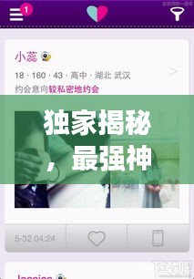 独家揭秘，最强神器榜单TOP10，惊艳你的眼球！