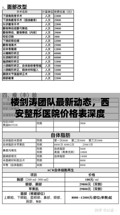 楼剑涛团队最新动态，西安整形医院价格表深度解析