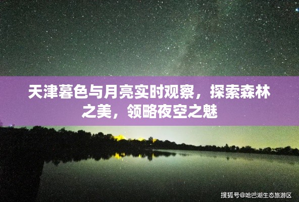 天津暮色与月亮实时观察，探索森林之美，领略夜空之魅