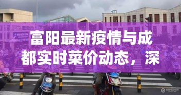 富阳最新疫情与成都实时菜价动态，深度解析疫情下的菜价变化
