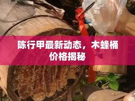 陈行甲最新动态，木蜂桶价格揭秘