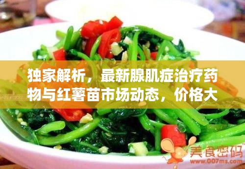 独家解析，最新腺肌症治疗药物与红薯苗市场动态，价格大揭秘！