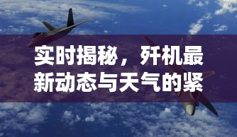 实时揭秘，歼机最新动态与天气的紧密关联报道