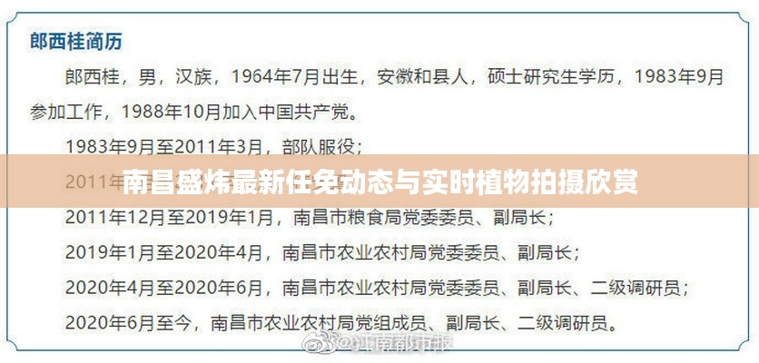 南昌盛炜最新任免动态与实时植物拍摄欣赏