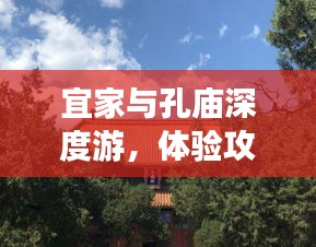 宜家与孔庙深度游，体验攻略与费用揭秘