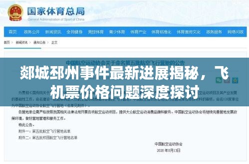 郯城邳州事件最新进展揭秘，飞机票价格问题深度探讨