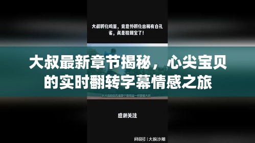 大叔最新章节揭秘，心尖宝贝的实时翻转字幕情感之旅