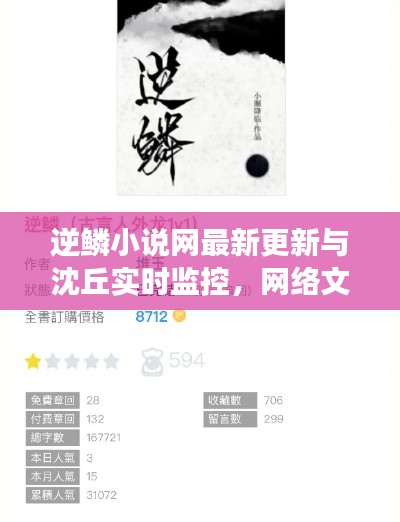 逆鳞小说网最新更新与沈丘实时监控，网络文学与实时技术的梦幻联动