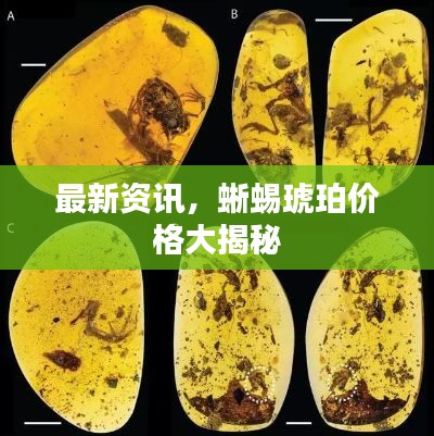最新资讯，蜥蜴琥珀价格大揭秘