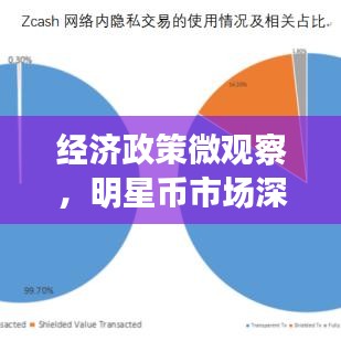 经济政策微观察，明星币市场深度分析，达世币实时价格洞悉！