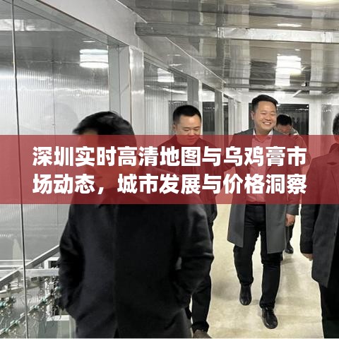 深圳实时高清地图与乌鸡膏市场动态，城市发展与价格洞察