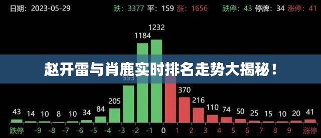赵开雷与肖鹿实时排名走势大揭秘！