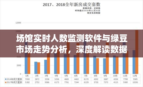 场馆实时人数监测软件与绿豆市场走势分析，深度解读数据背后的秘密