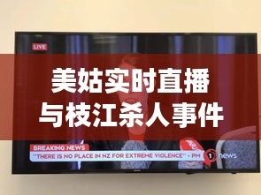 美姑实时直播与枝江杀人事件最新进展直播报道