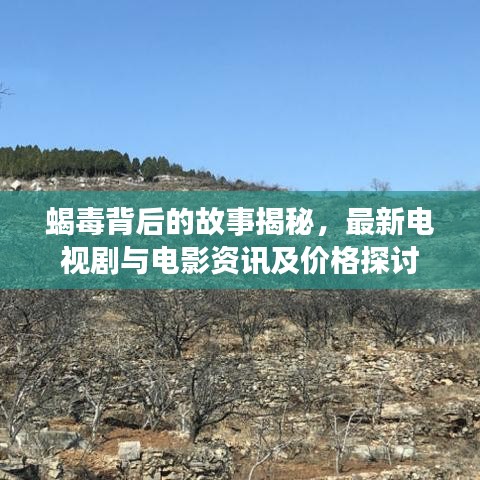 蝎毒背后的故事揭秘，最新电视剧与电影资讯及价格探讨