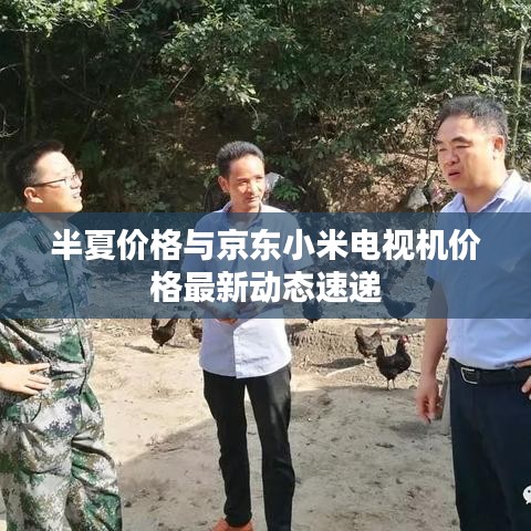 半夏价格与京东小米电视机价格最新动态速递