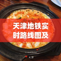 天津地铁实时路线图及最新动态全览