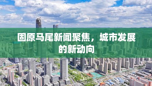 固原马尾新闻聚焦，城市发展的新动向