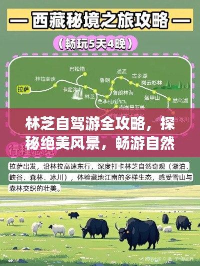 林芝自驾游全攻略，探秘绝美风景，畅游自然仙境！
