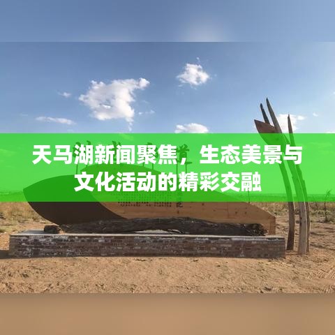 天马湖新闻聚焦，生态美景与文化活动的精彩交融