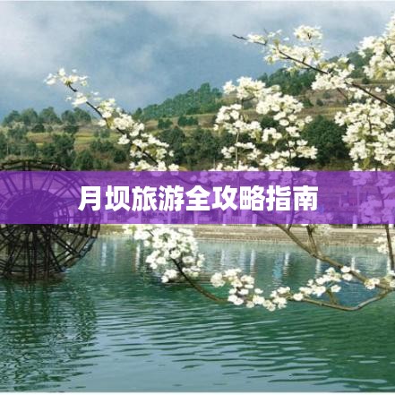 月坝旅游全攻略指南
