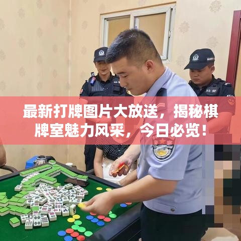 最新打牌图片大放送，揭秘棋牌室魅力风采，今日必览！