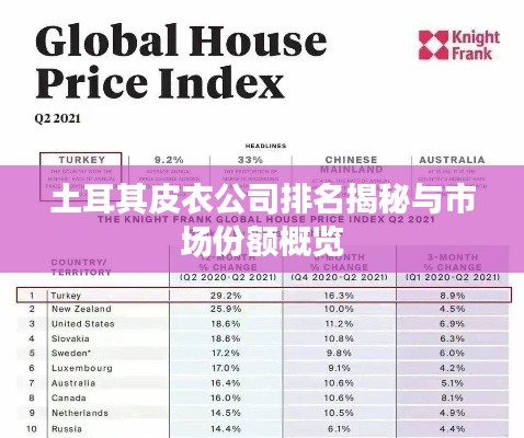 土耳其皮衣公司排名揭秘与市场份额概览
