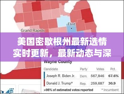 美国密歇根州最新选情实时更新，最新动态与深度解读