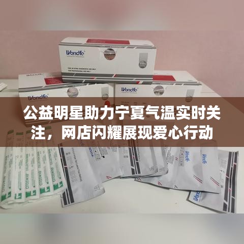公益明星助力宁夏气温实时关注，网店闪耀展现爱心行动