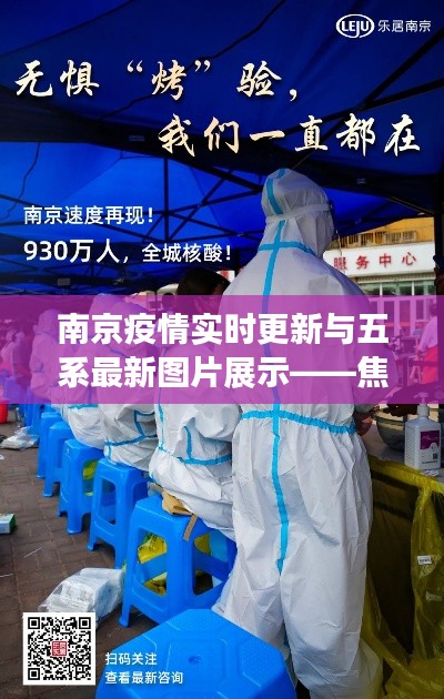 南京疫情实时更新与五系最新图片展示——焦点聚焦