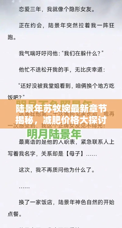 陆景年苏牧婉最新章节揭秘，减肥价格大探讨！