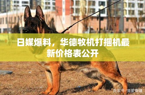 日媒爆料，华德牧机打捆机最新价格表公开