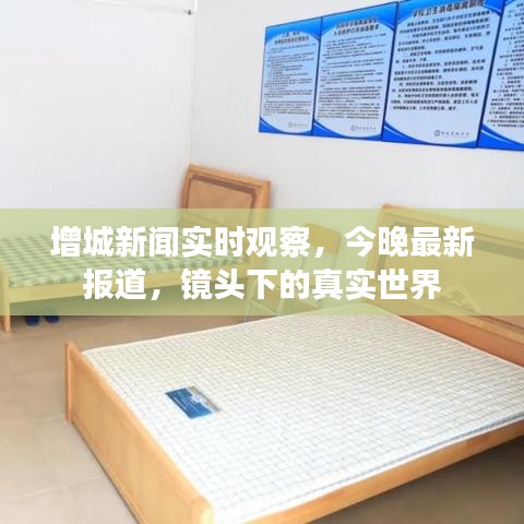 增城新闻实时观察，今晚最新报道，镜头下的真实世界