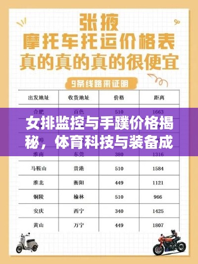 女排监控与手蹼价格揭秘，体育科技与装备成本深度解析